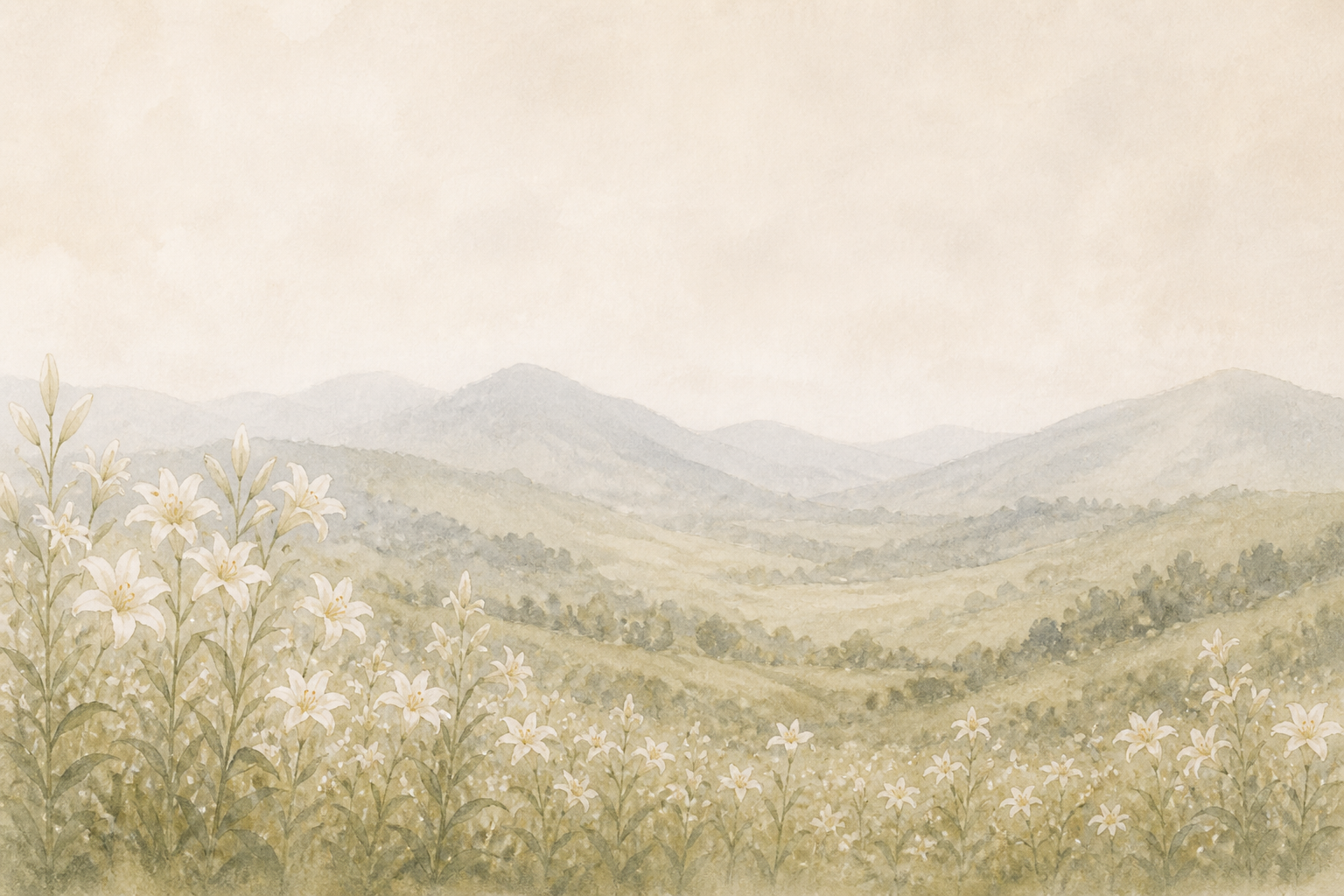 A soft field of lilies beneath distant hills